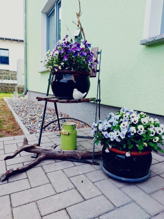 Ferienwohnung Ab Zum Haff Ueckermunde Bagian luar foto