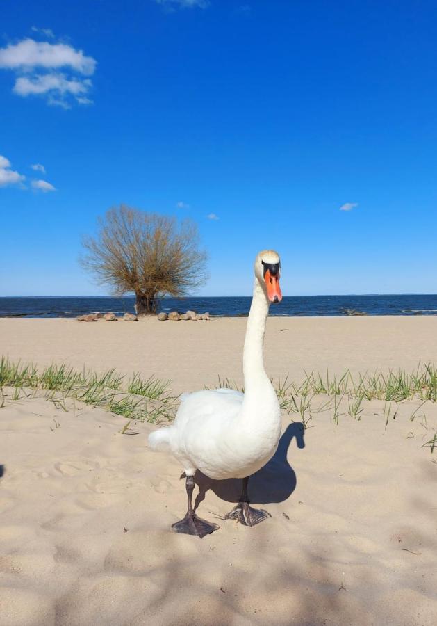 Ferienwohnung Ab Zum Haff Ueckermunde Bagian luar foto